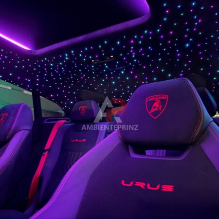 Sternenhimmel LED inkl. Einbau (Nachrüstung)