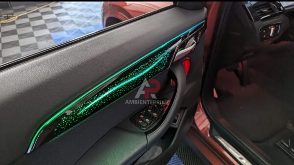 Ambientebeleuchtung für BMW X2 F39 inkl. Einbau (Nachrüstung)